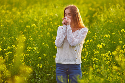 Oh, how we've missed you Hay Fever