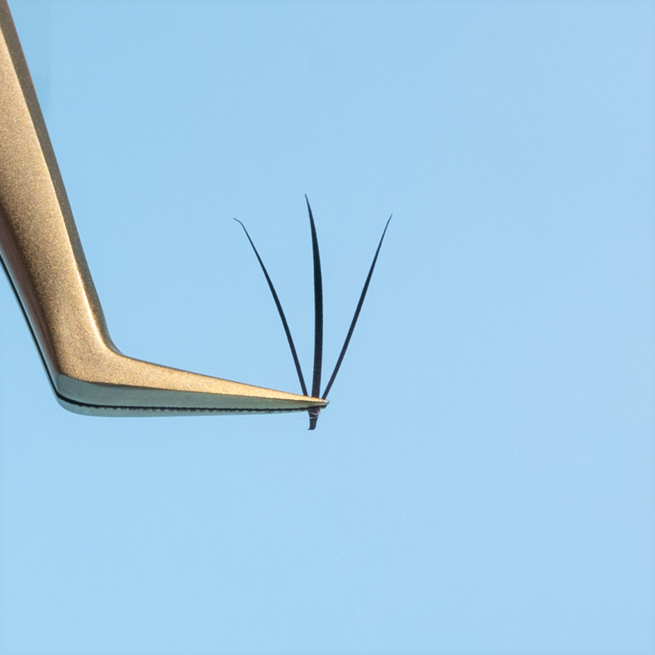 Flat Pre-Made Fans 3D
