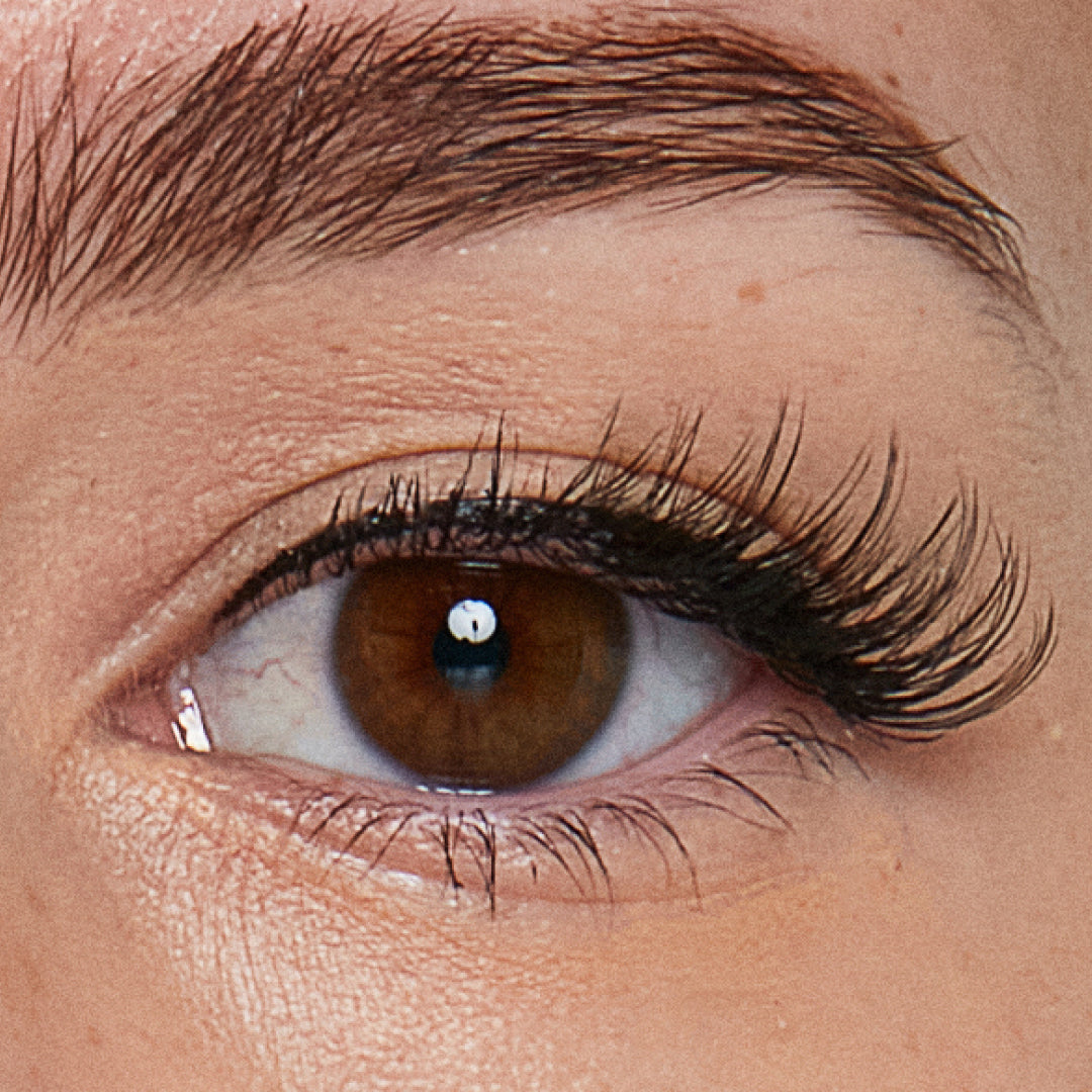 Half Lash 01