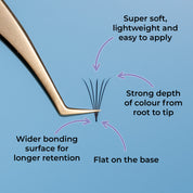 Flat Pre-Made Fans 6D