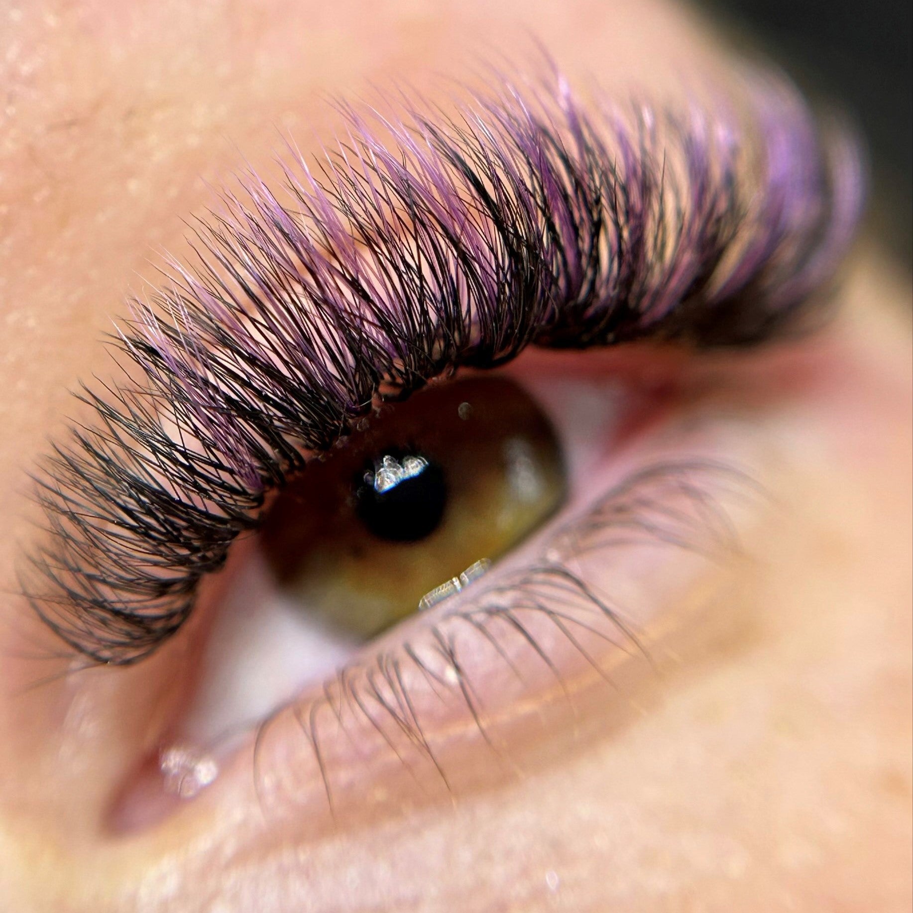 Colour Eyelash Extensions- Purple