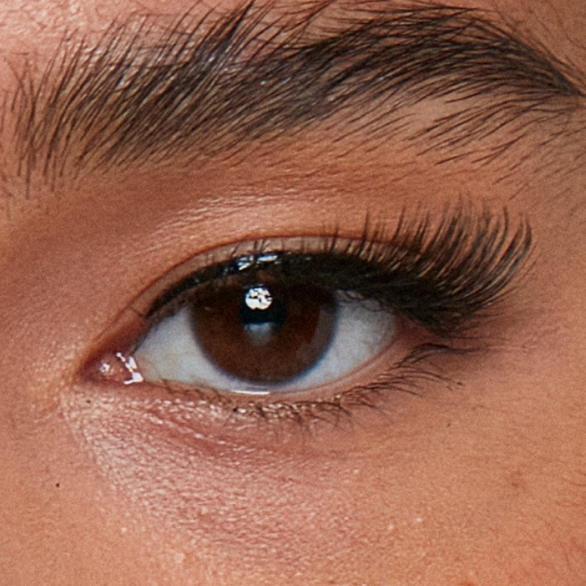 Half Lash 02