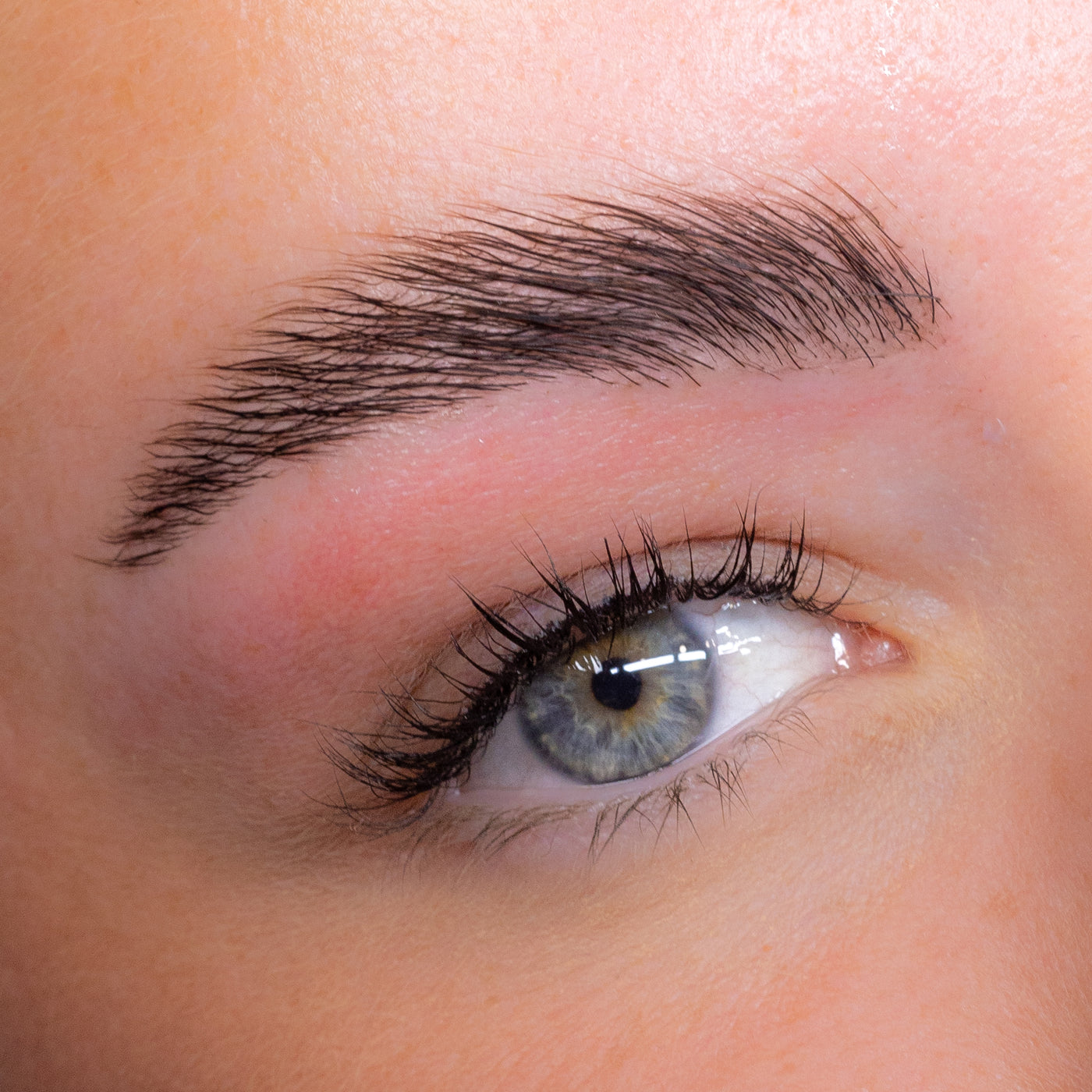 Brow Lamination Online Training Course