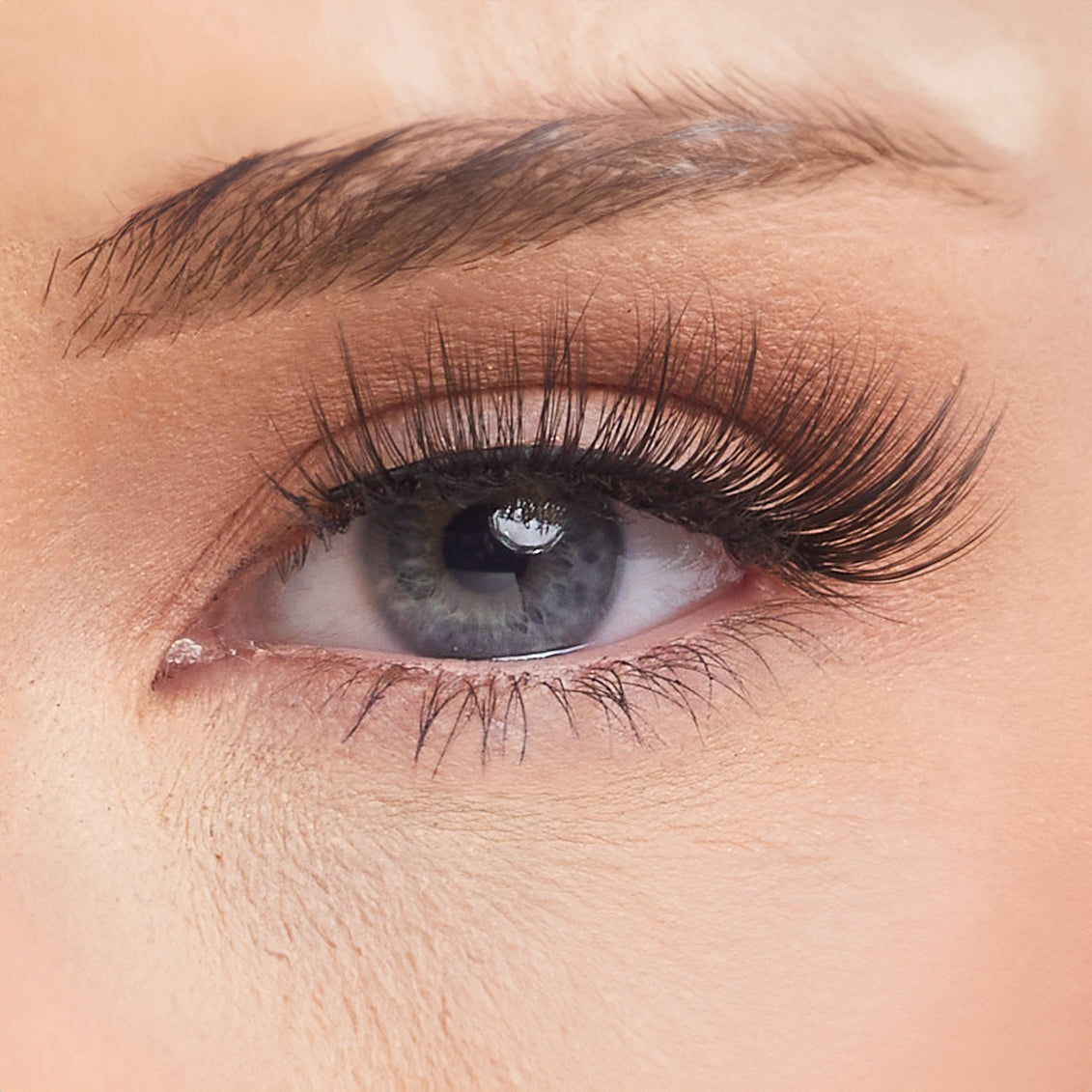 Call Back Studio Strip Lashes