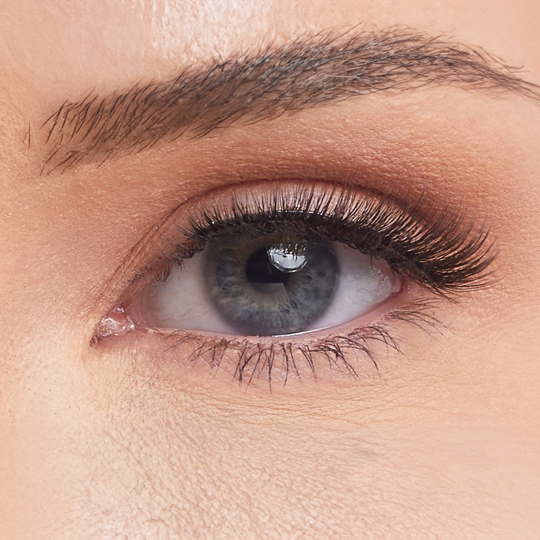 Collab Studio Strip Lashes