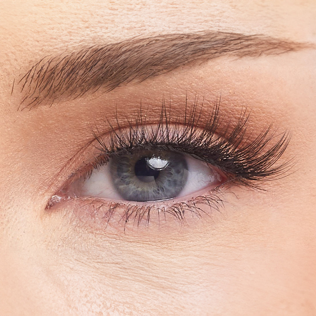 Crazy In Love Studio Strip Lashes