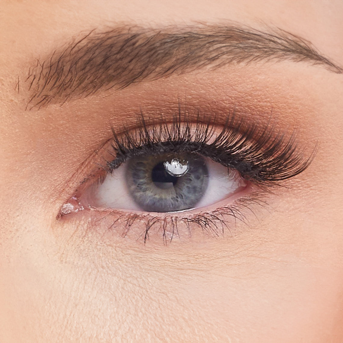 #Gifted Studio Strip Lashes