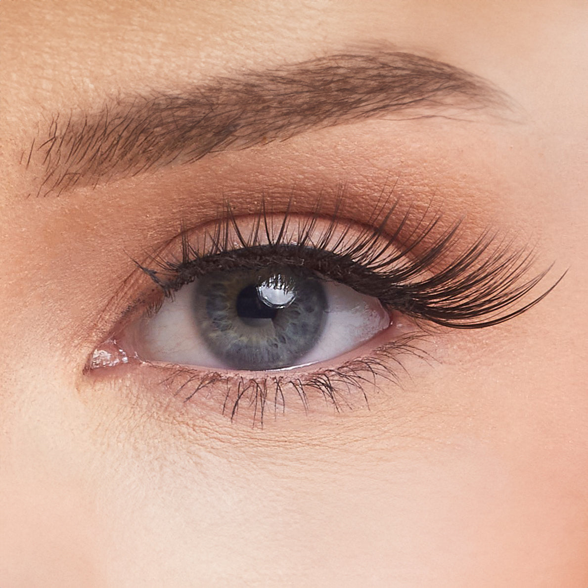 Poser Studio Strip Lashes