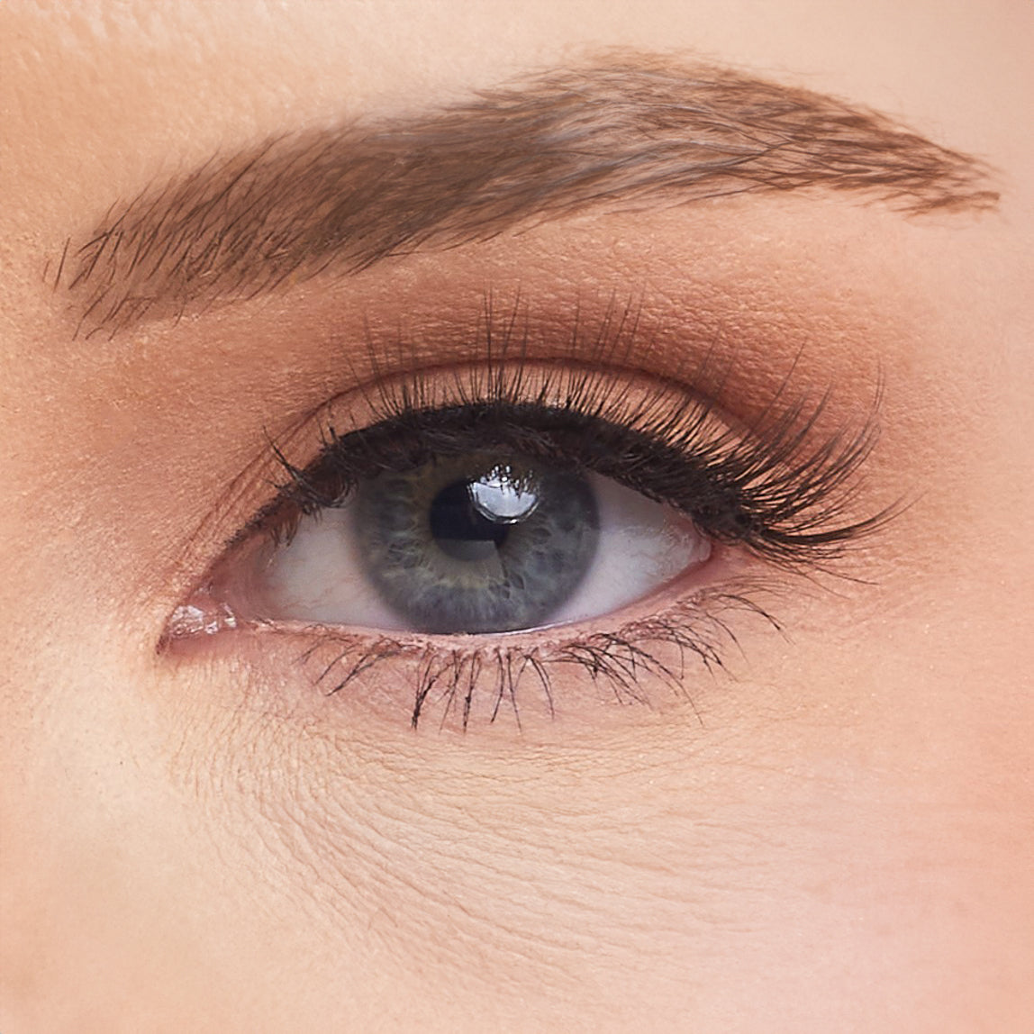 Runway Studio Strip Lashes