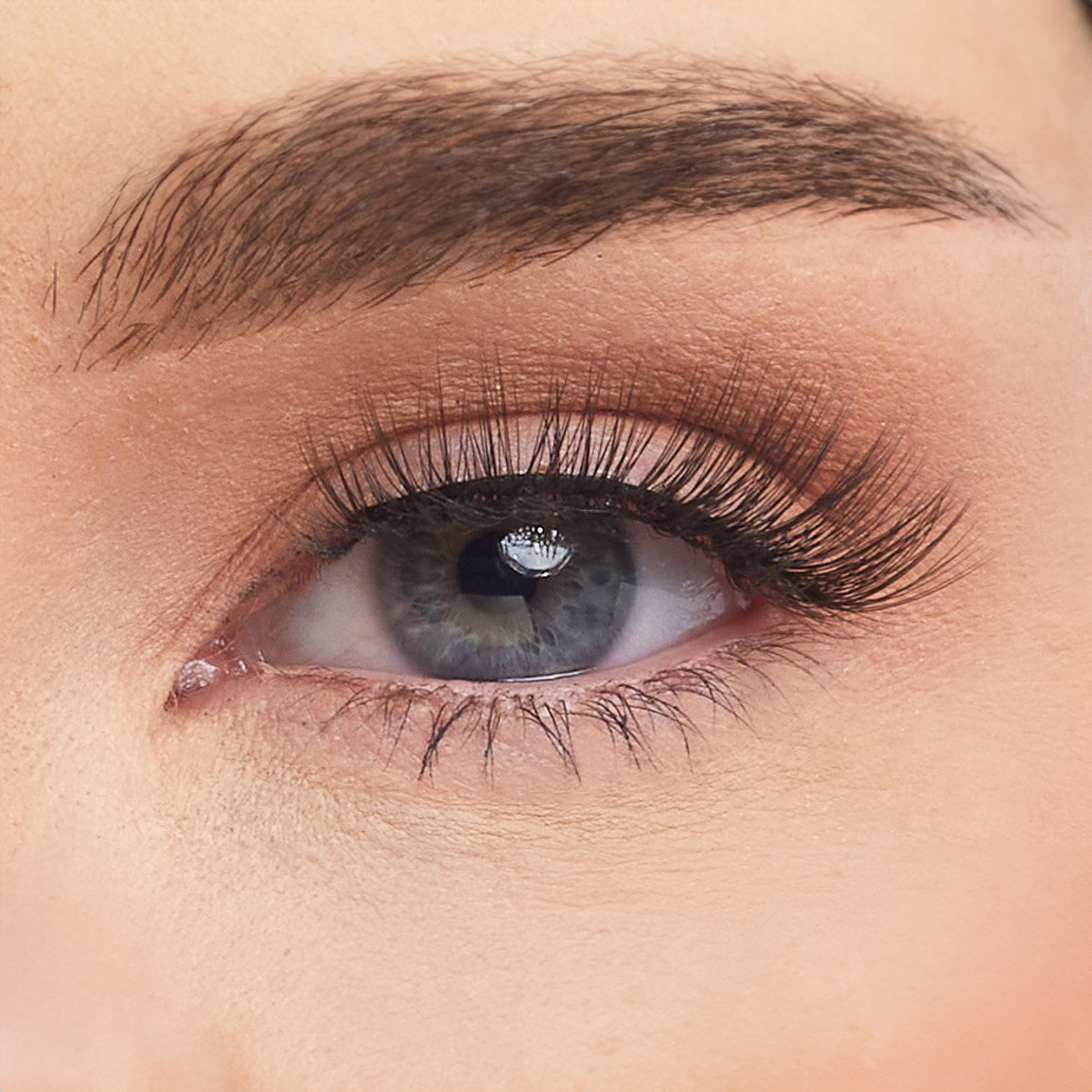 Serendipity Studio Strip Lashes