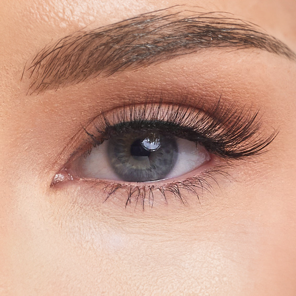The Edit Studio Strip Lashes