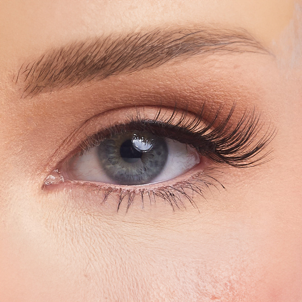 Timeless Studio Strip Lashes (Half Lash)