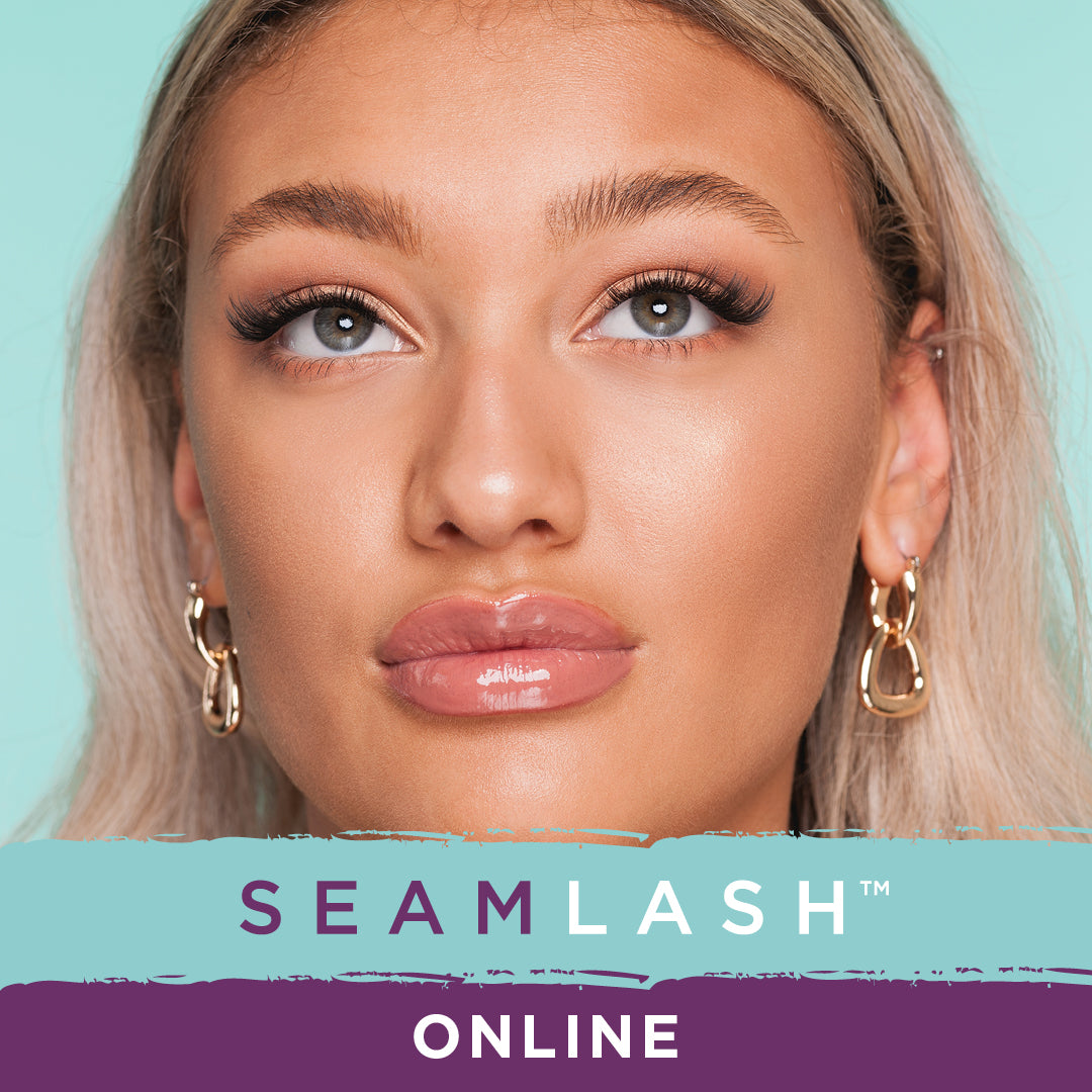 SEAMLASH Online Training Course